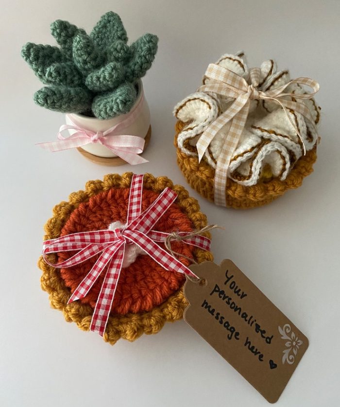 Cute cozy fall crocheted pumpkin pie coaster set next to crocheted succulent plant.